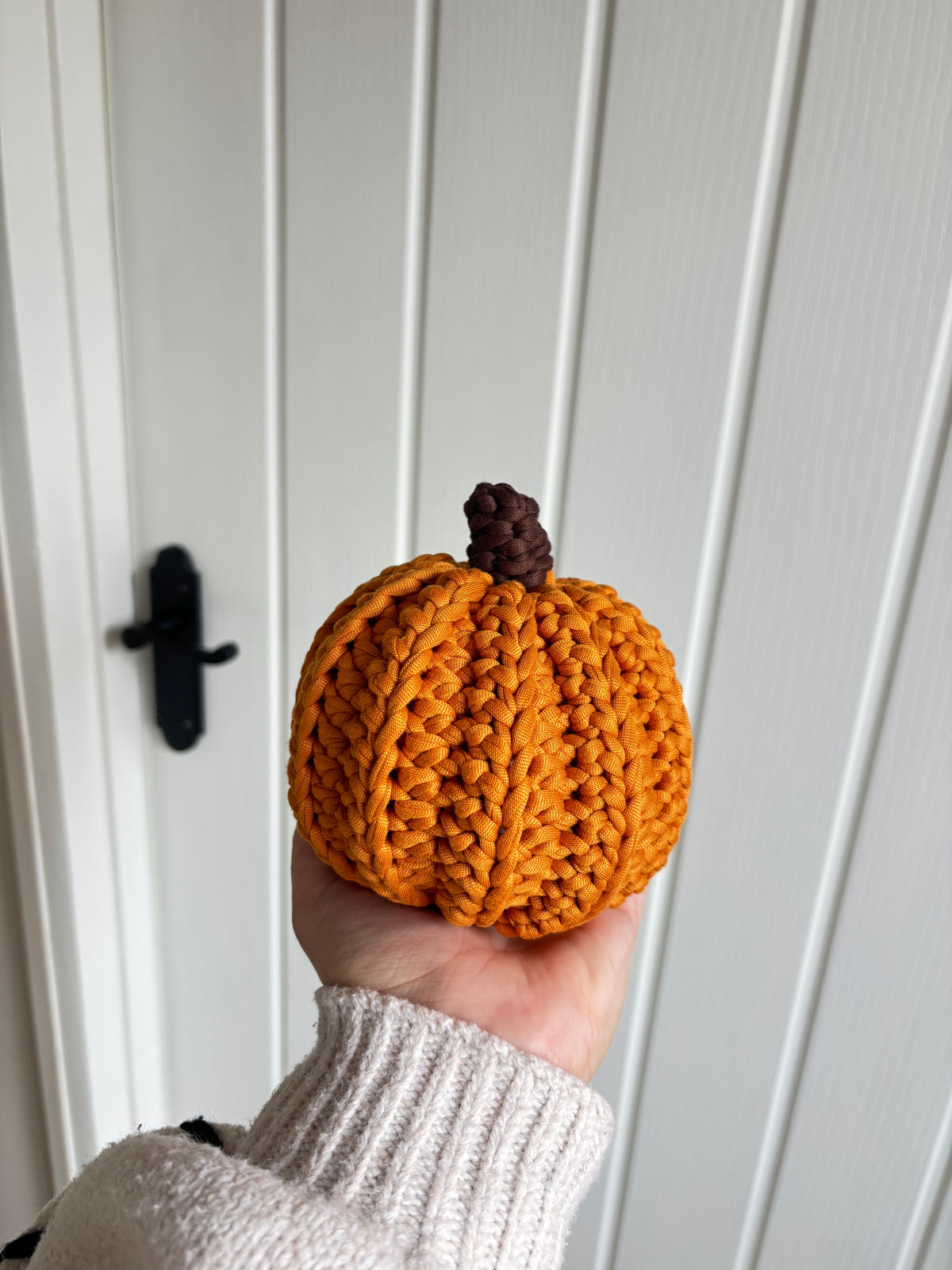 Autumn Harvest Pumpkin
